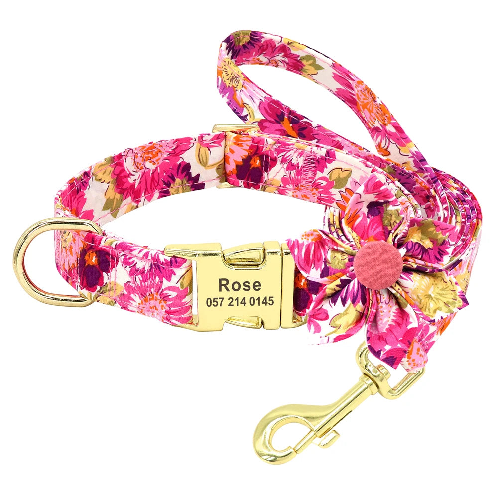 Set Collar + Correa Personalizado – LUCAPET