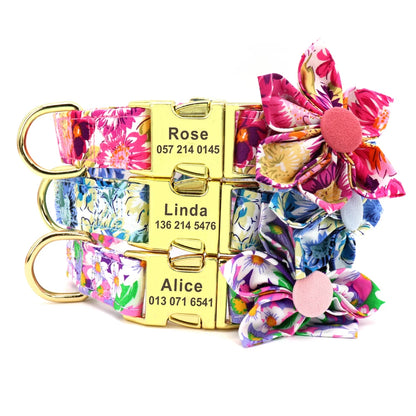 Set Collar + Correa Personalizado – LUCAPET