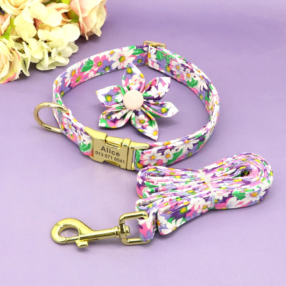 Set Collar + Correa Personalizado – LUCAPET