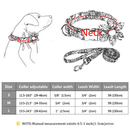 Set Collar + Correa Personalizado – LUCAPET