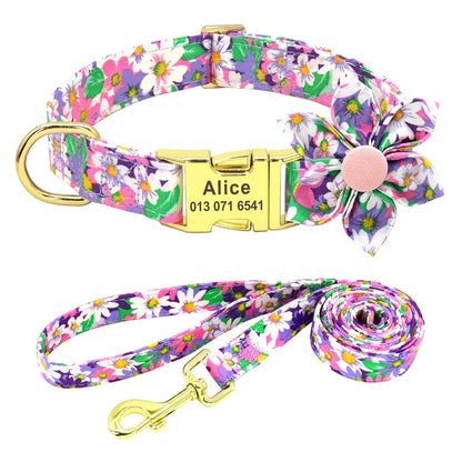 Set Collar + Correa Personalizado – LUCAPET