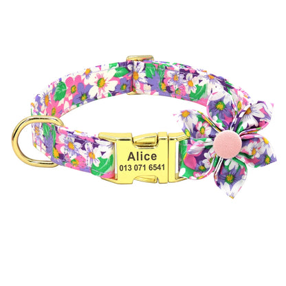 Set Collar + Correa Personalizado – LUCAPET