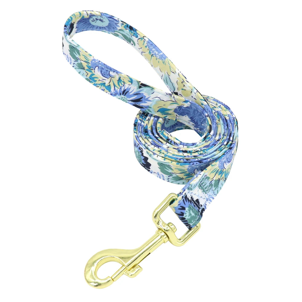 Set Collar + Correa Personalizado – LUCAPET