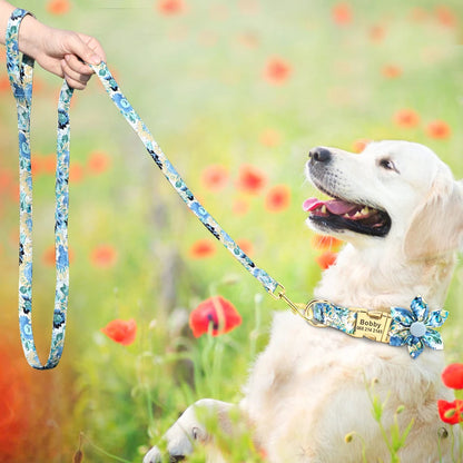 Set Collar + Correa Personalizado – LUCAPET