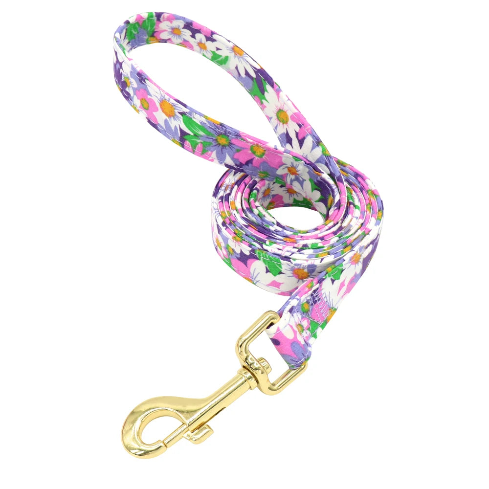 Set Collar + Correa Personalizado – LUCAPET