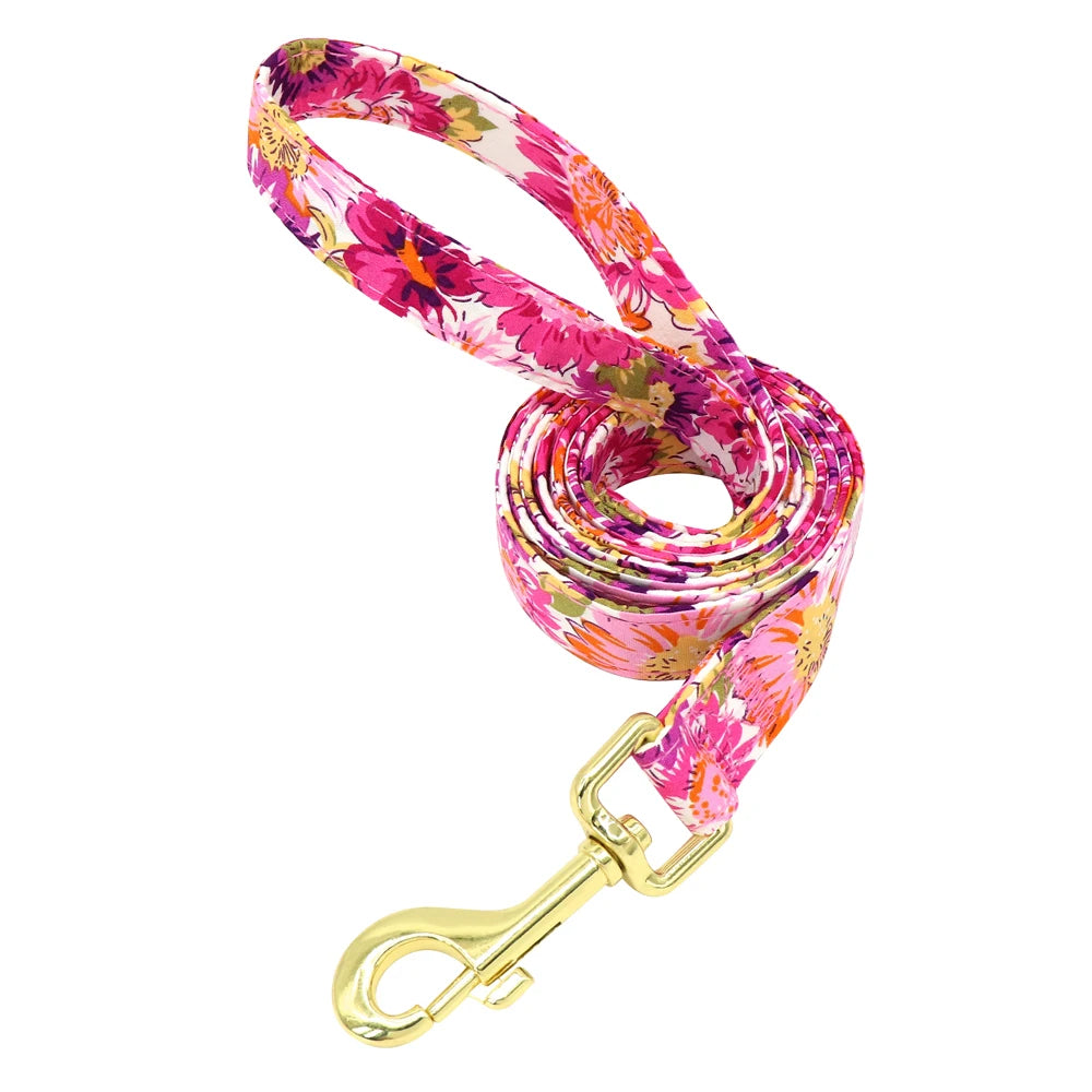 Set Collar + Correa Personalizado – LUCAPET