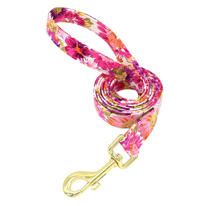 Set Collar + Correa Personalizado – LUCAPET