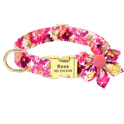 Set Collar + Correa Personalizado – LUCAPET
