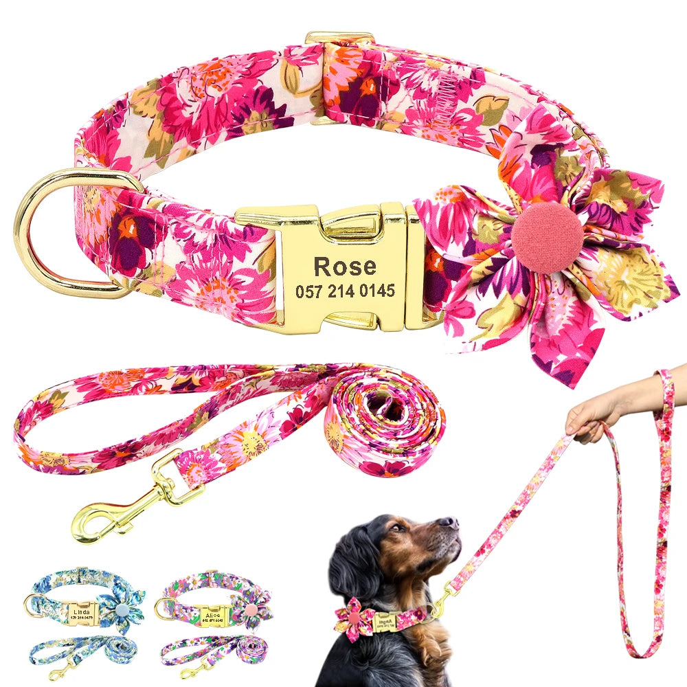 Set Collar + Correa Personalizado – LUCAPET