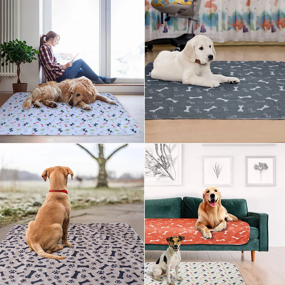 Tapete Impermeable – LUCAPET